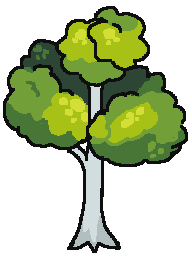 Silver Birch Draft sketch